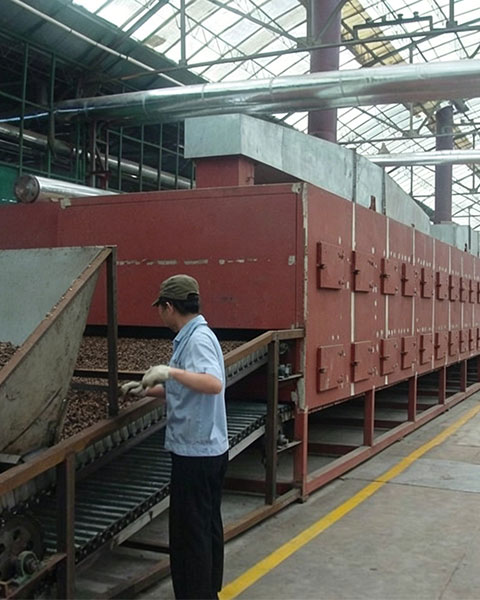 DWC-Dehydrated Vegetable Belt Dryer