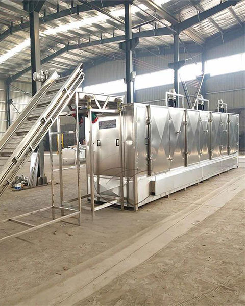 DWC-Dehydrated Vegetable Belt Dryer